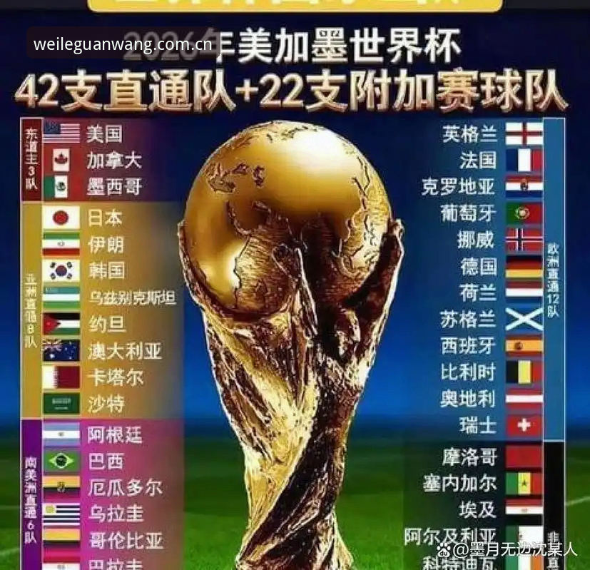 世界杯安保