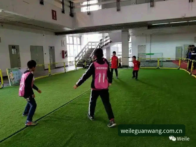微乐体育平台深度评测：正版下载入口与体验全解析